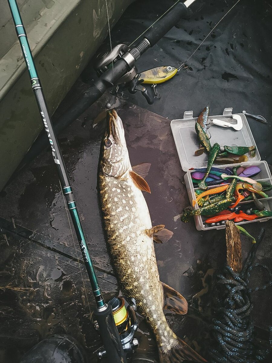 Щука осень джиг. Морская рыбалка улов. River Perch.