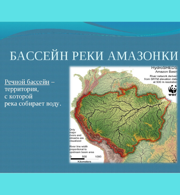 yandex.ru/search/?text=бассейн%20амазонки&lr=2&clid=2139456-002