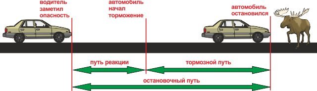 Время реакции водителя таблица