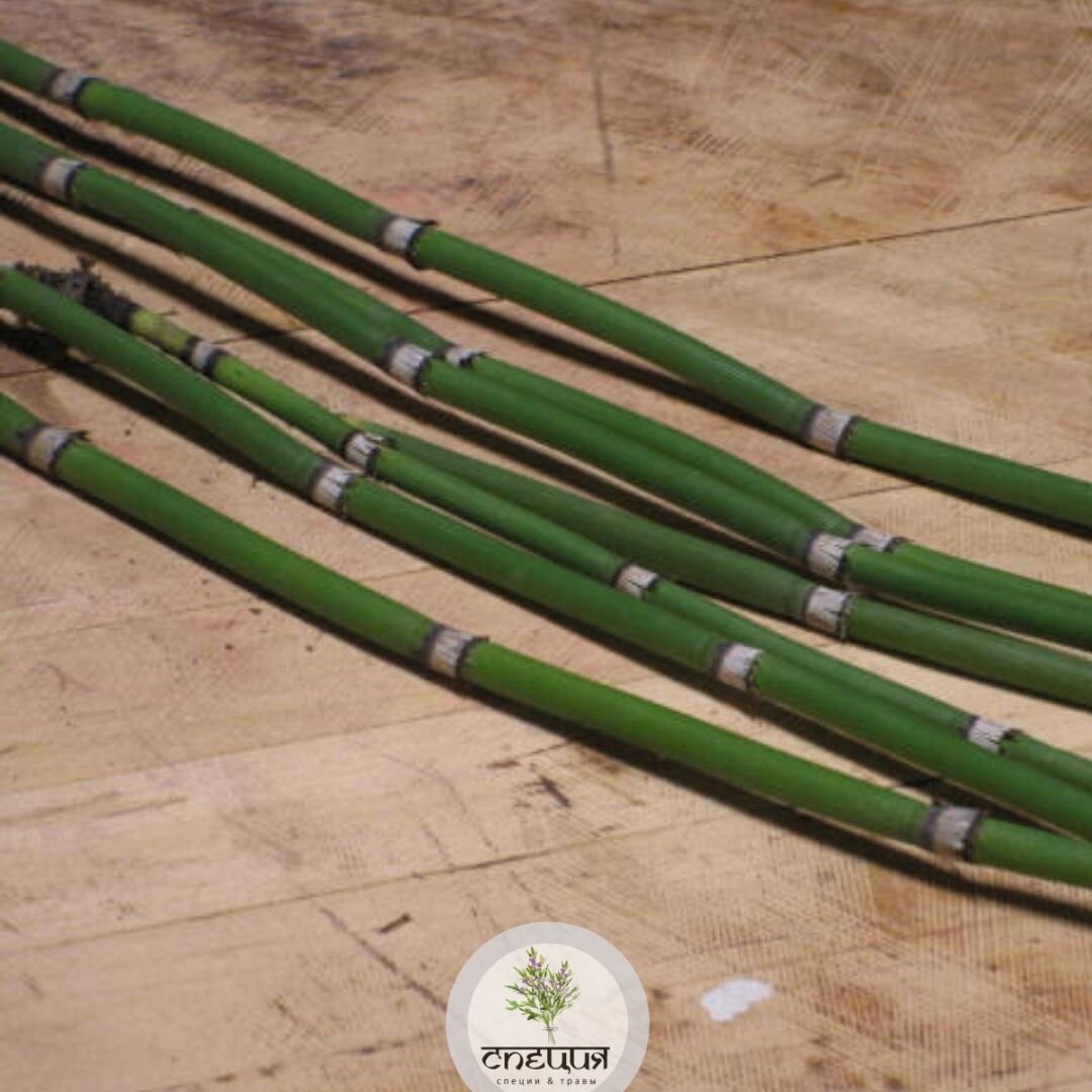 Хвощ содержит кучу полезных микроэлементов! 