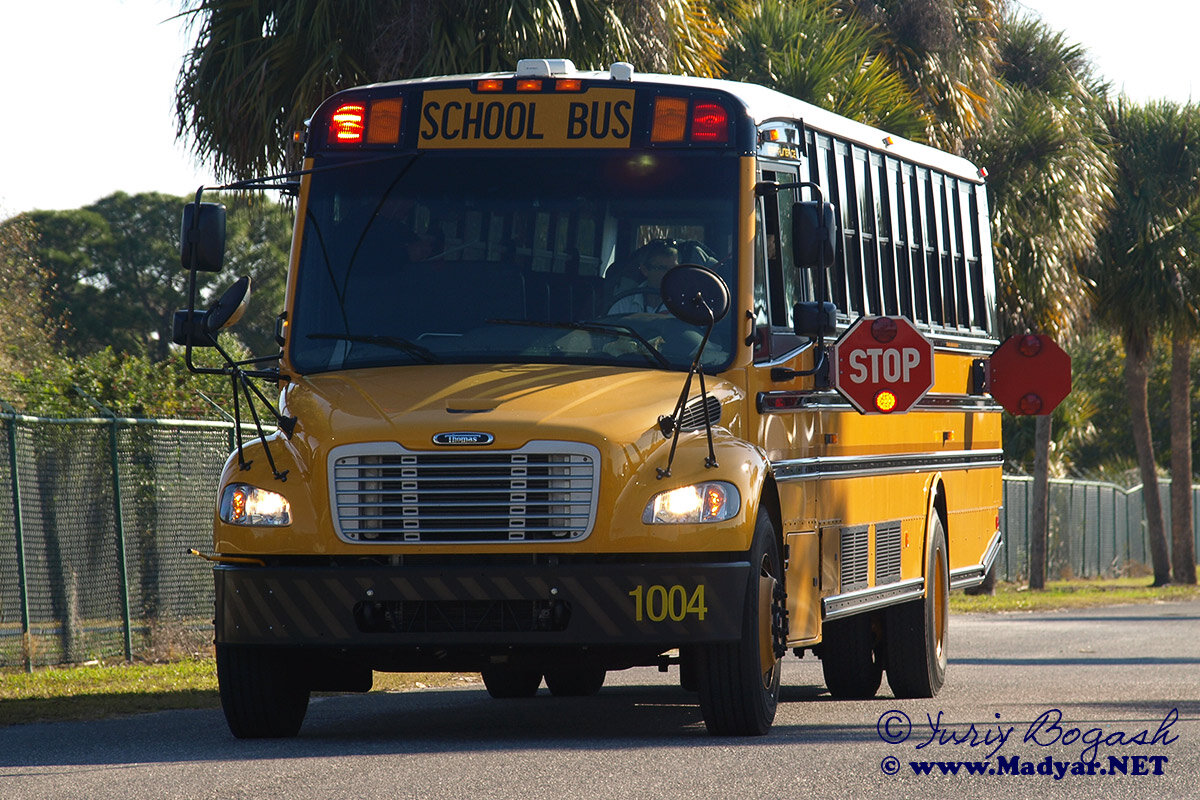 Bus america. Школьный автобус. Американские автобусы. Школьный автобус в Америке. Школьный автобус омэрика.