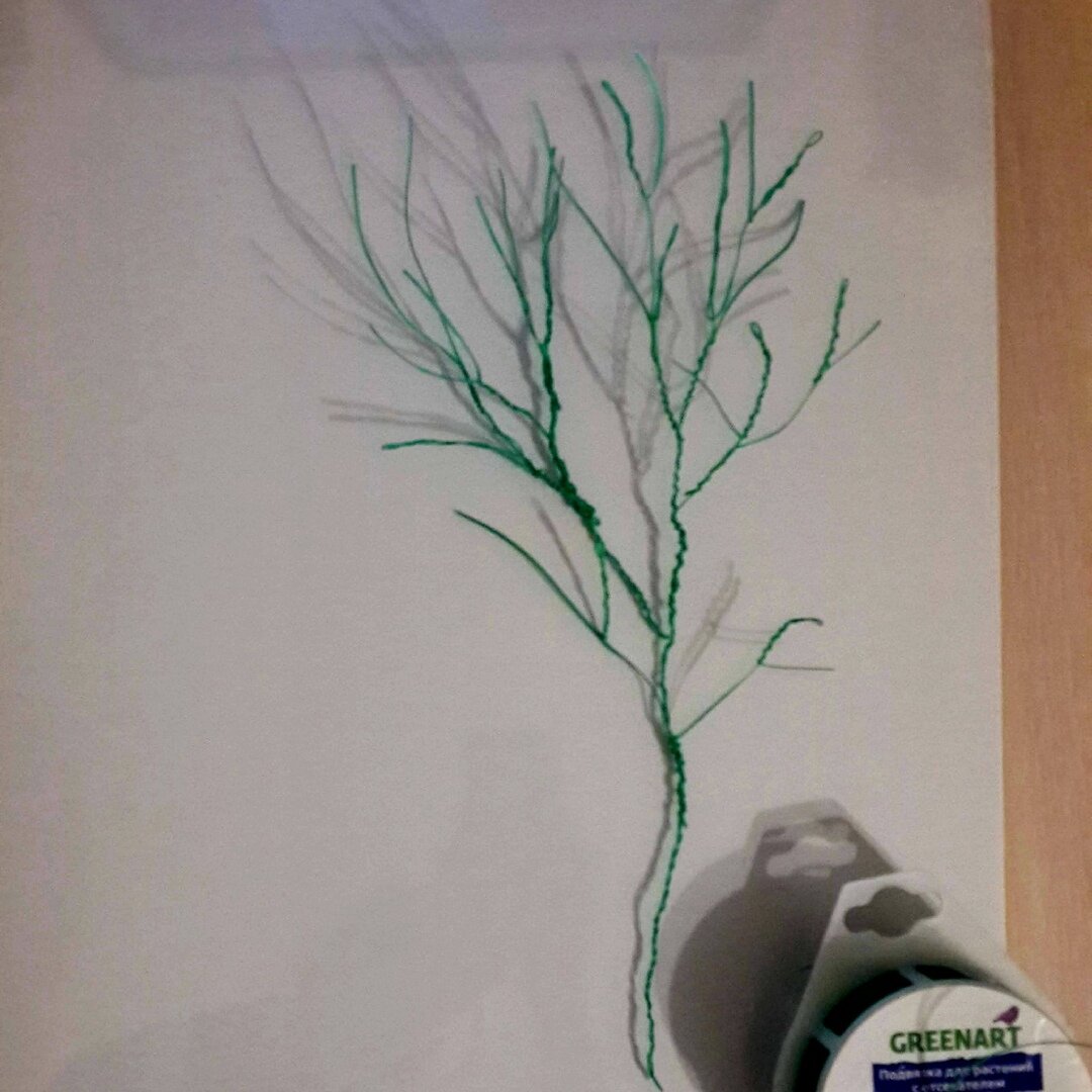 Каркас из проволоки для деревьев. Фото автора