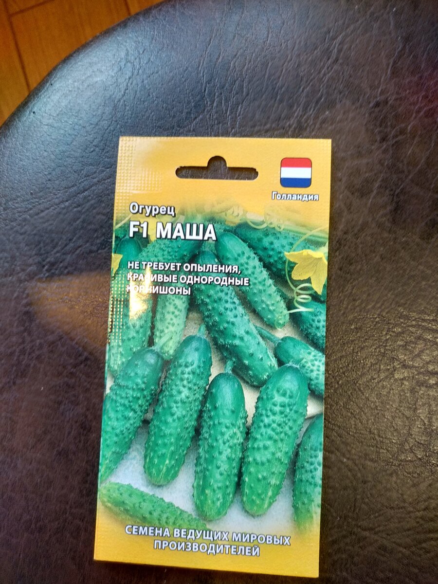 Маша F1
