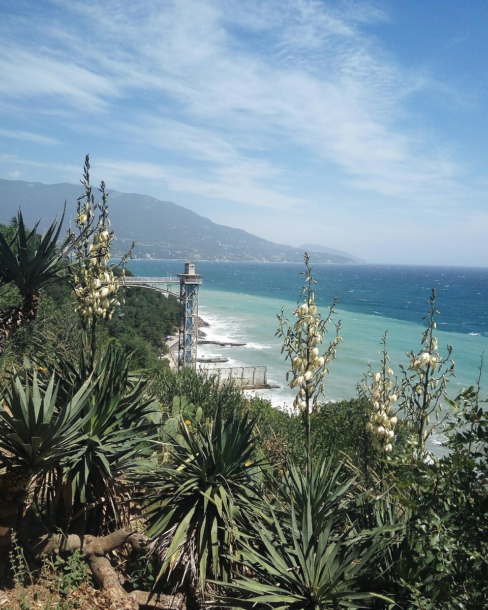 Фото из личного архива