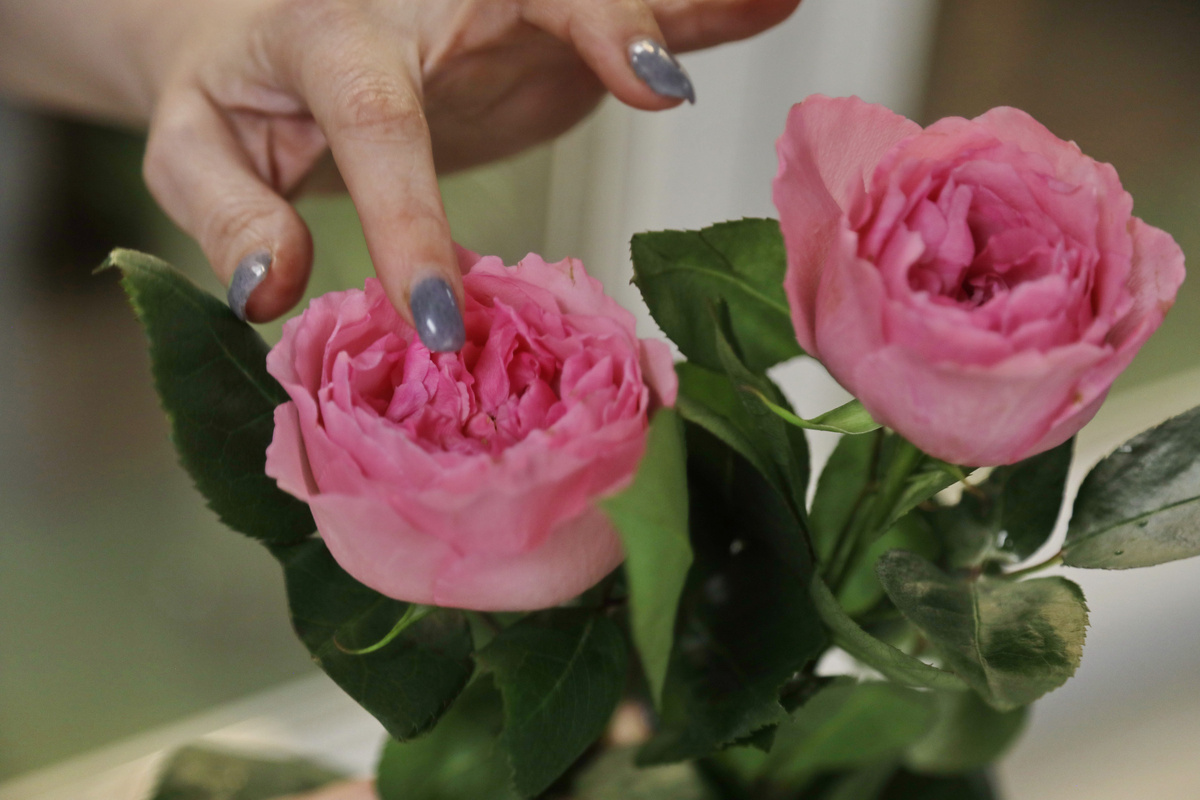 Фото Олега Кузьмина