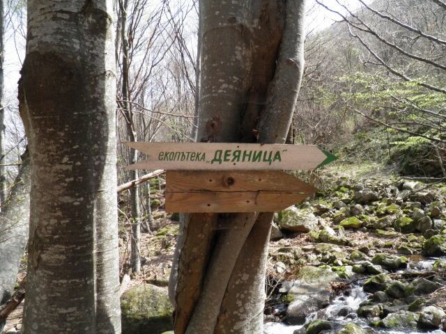 Фото: https://pochivka.bg/ekopateka-deyanitsa-e2303
