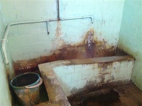 Ох@ительная история