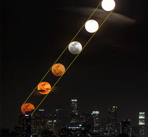  На данном фото видно, что Луна совершенно не изменилась в размере.