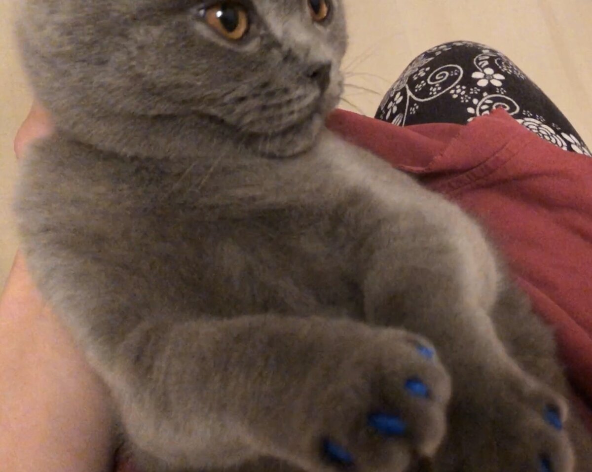 Накинули, злыдни, мне гламура :(