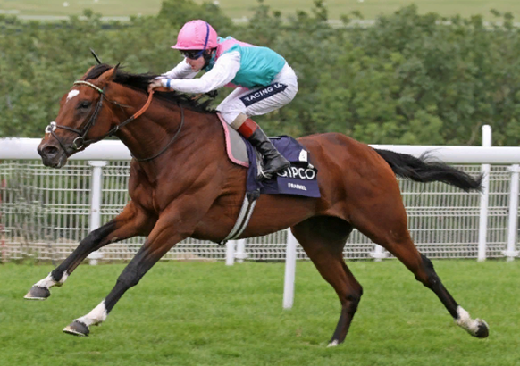 Frankel 