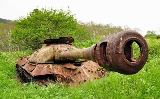 Фото: Юрий Максимов . 