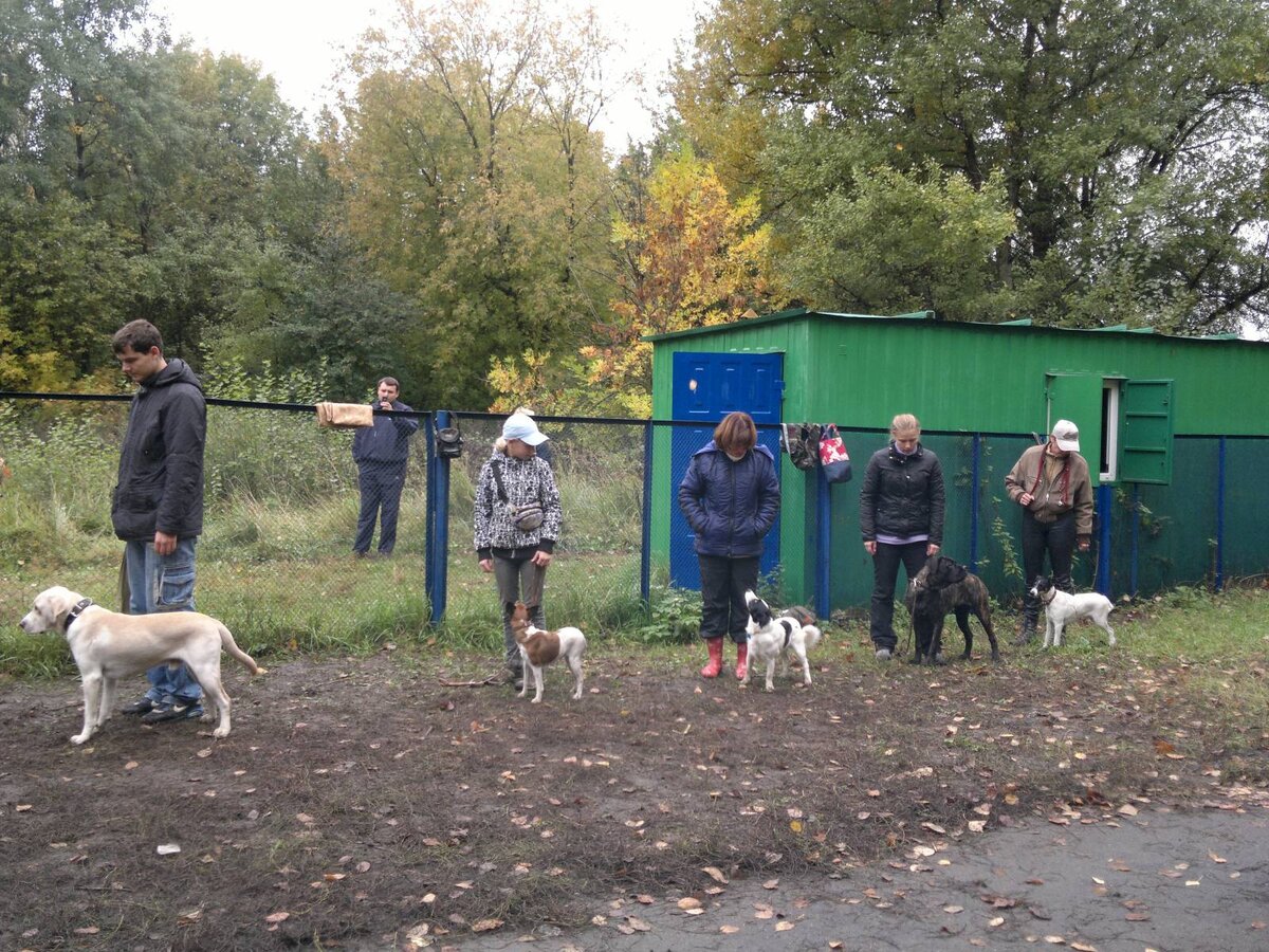 Занятия по ОКД (фото из сети)