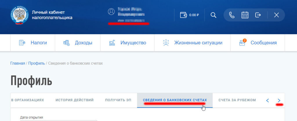 Профиль налогоплательщика в личном кабинете nalog.ru