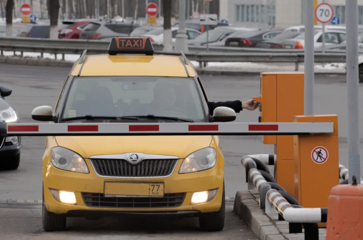 Фото - otr-online.ru