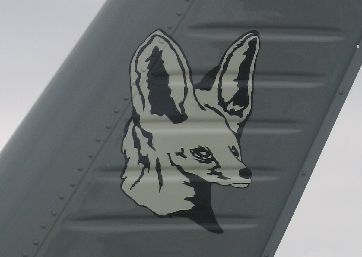 А вот это и есть фенек (© Владимир Щербаков)