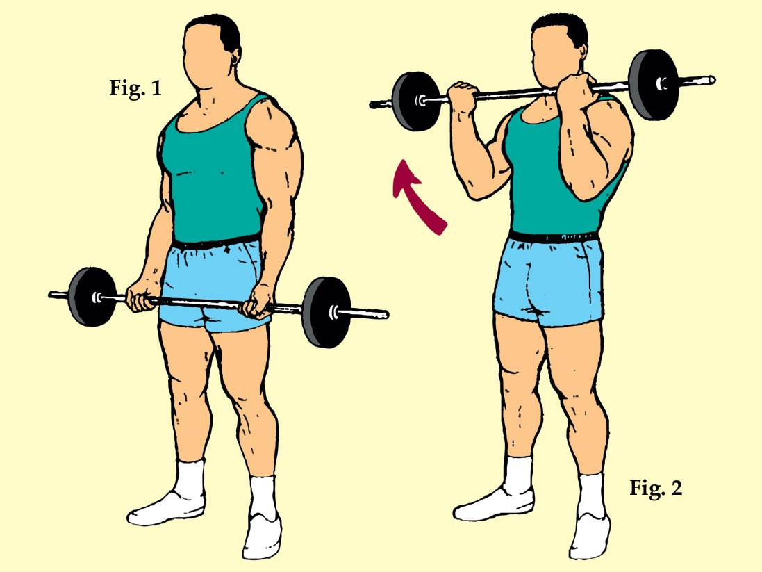 Оригинал картинки - http://vashnarkolog.com/sport-i-zozh/podem-stangi-na-biceps-tehnika-vypolnenia-osibki