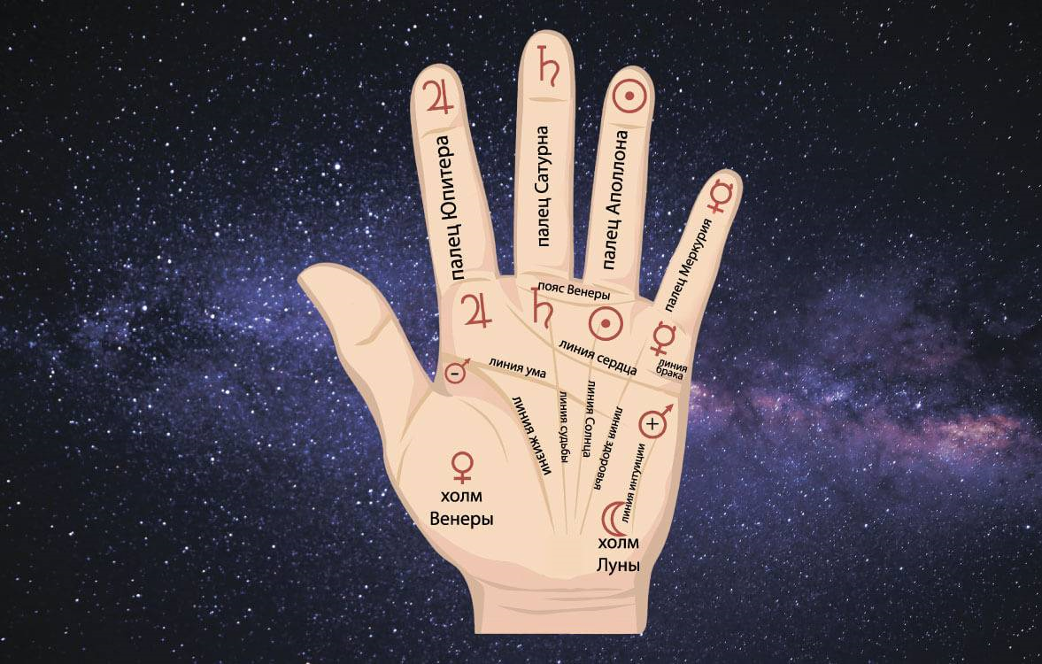 Пальцы и планеты. Планеты на пальцах рук. Хиромантия пальцы планеты. Хиромантия линия солнца. Пальцы в хиромантии