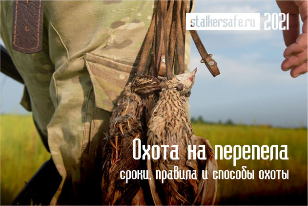 Источник интернет-магазин Stalkersafe.ru
