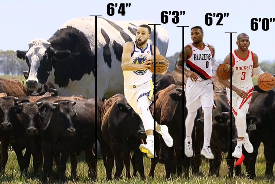 Никерс стал известен на весь мир. Его рост сравнивают с ростом баскетболистов 