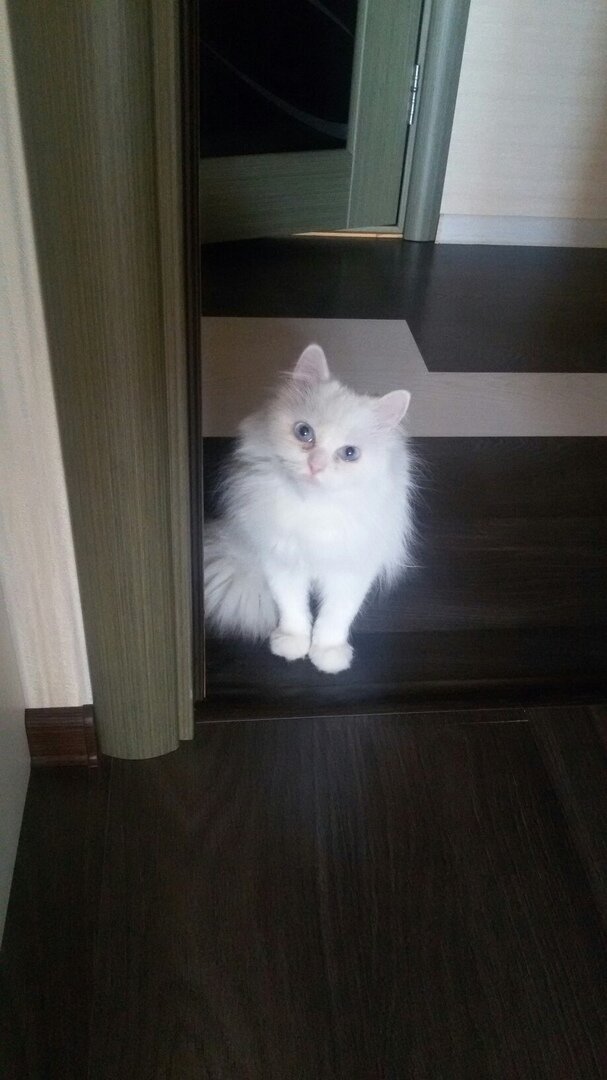 Та самая фотография, благодаря которой я взяла свою первую передержку