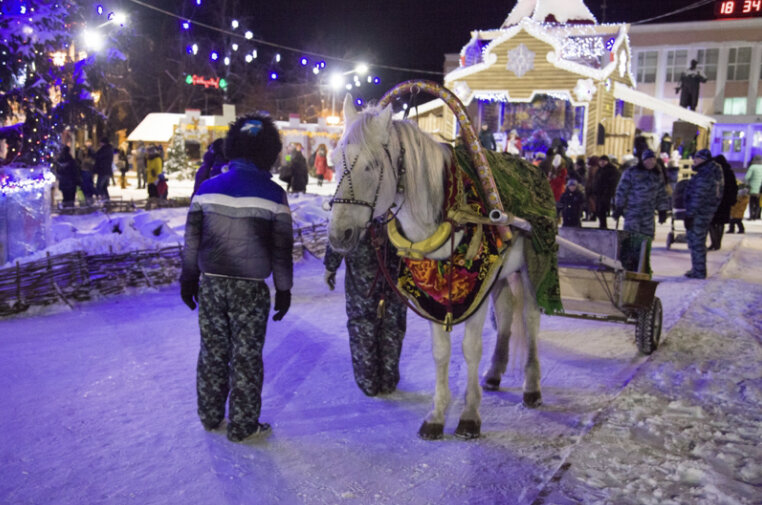 Новогодние муромские гуляния. Фото zebra-tv