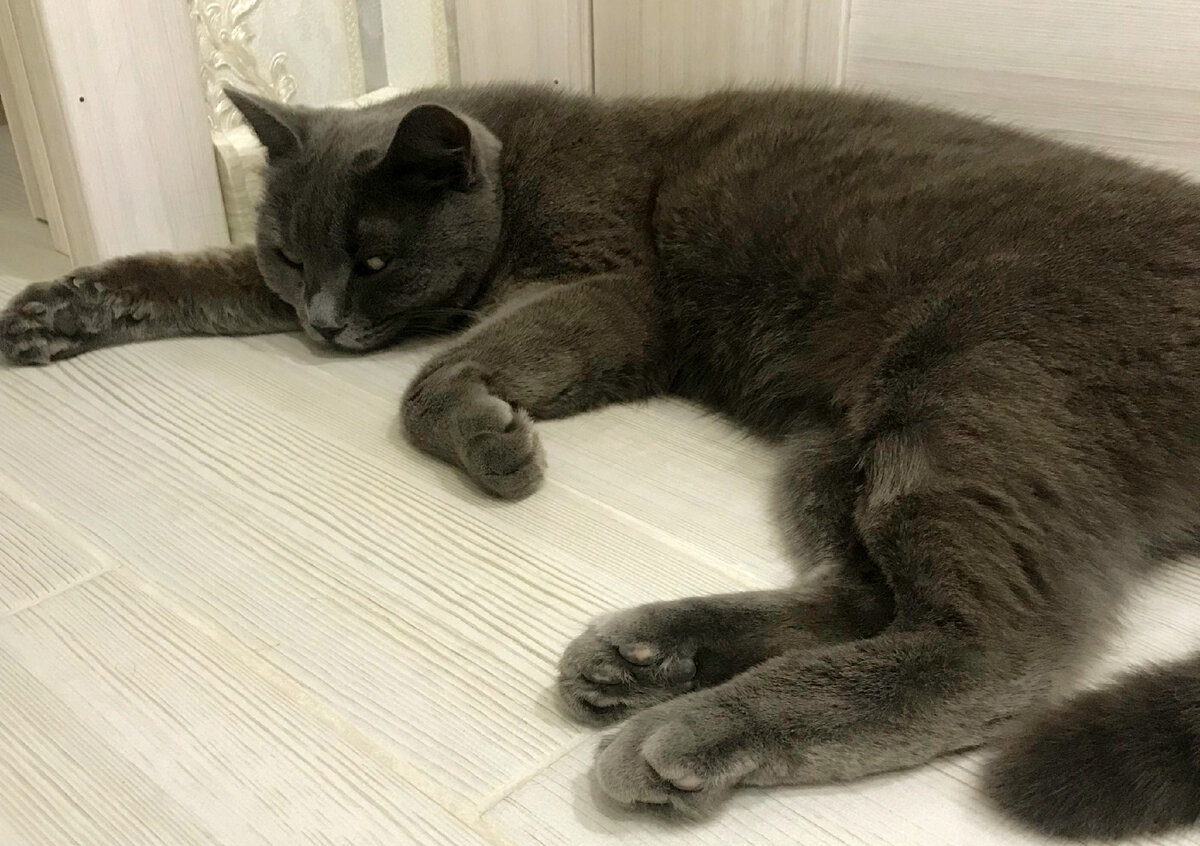 Есть все-таки  справедливость...