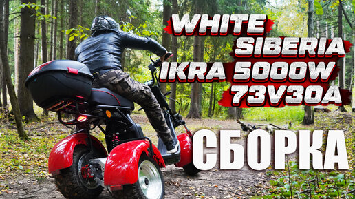 White siberia 5000w