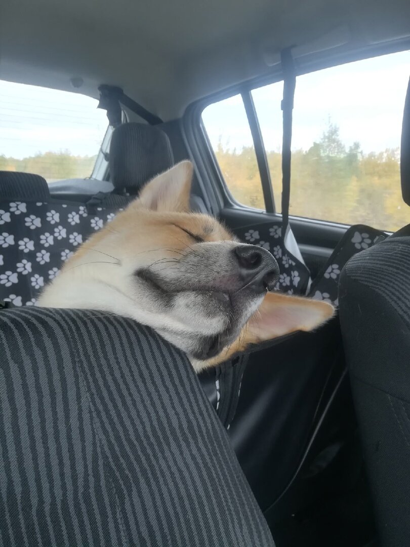 По дороге ДОМОЙ