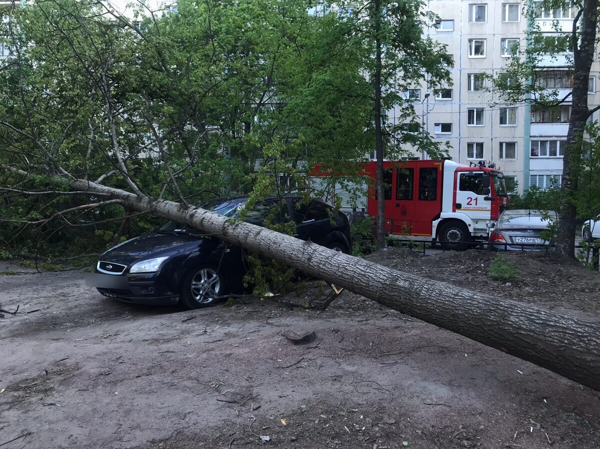 вот такой не приятный сюрприз