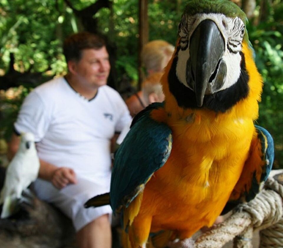 Томас Гловер содержит собственный парк пернатых в Плеттенбург-Бей