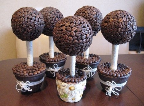 Кофейне дерево