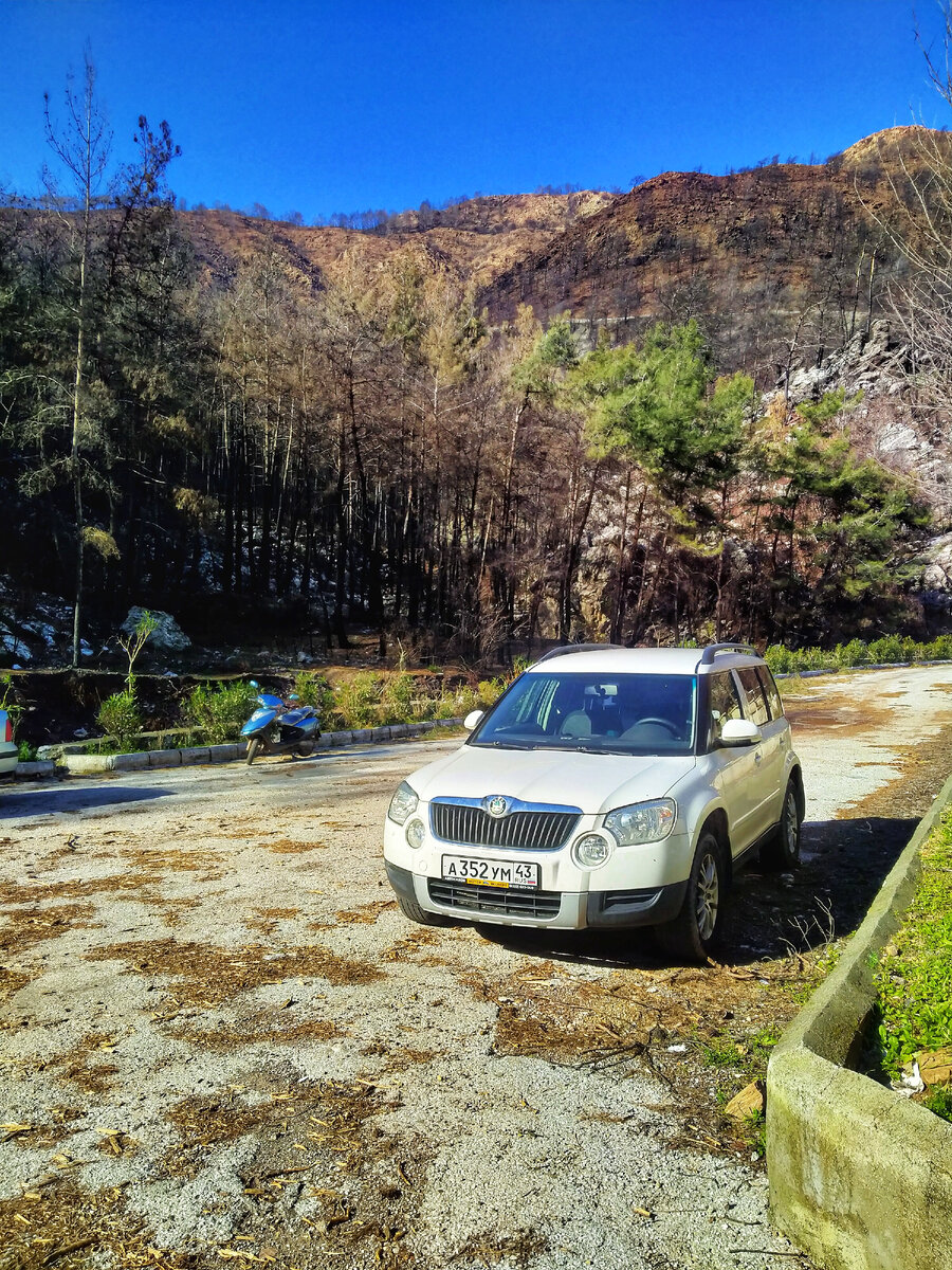 Концерн VW перестанет поставлять диллерам в РФ свои автомобили. Вот сейчас цены вверх пойдут. 