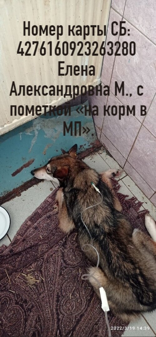 для тех кто не выездной и далеко 