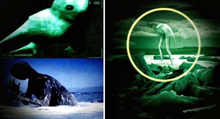 Ningen: Japanese sea monster - Nexus Newsfeed