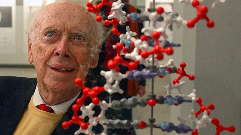 Фото: Markus Schreiber, AP