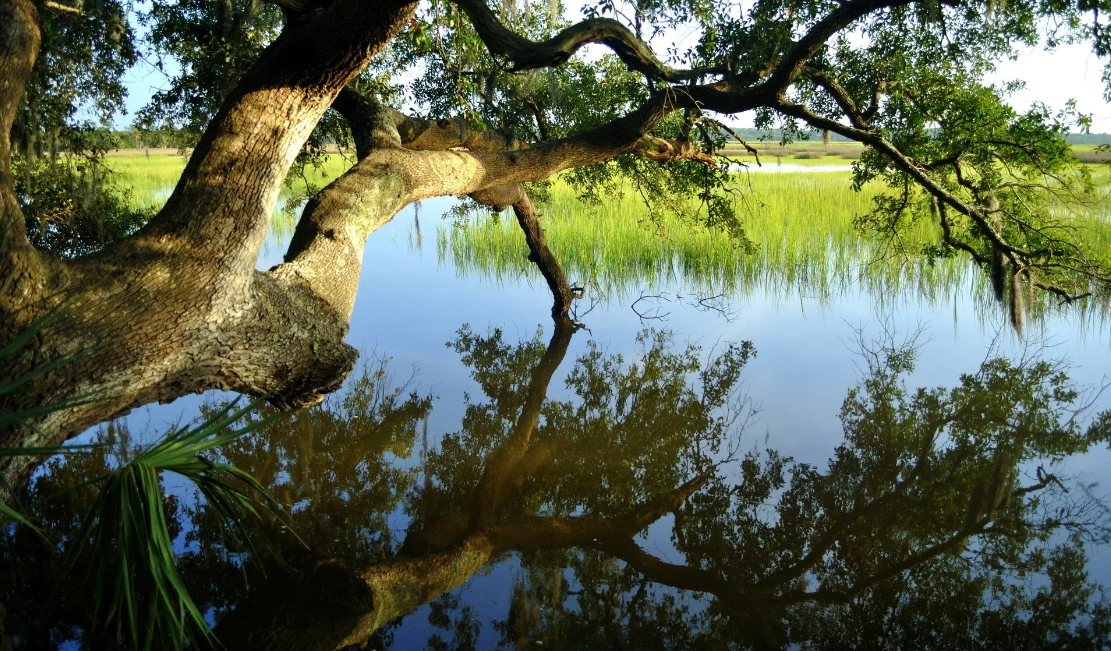 В таких местах удобно ловить на короткий пикер