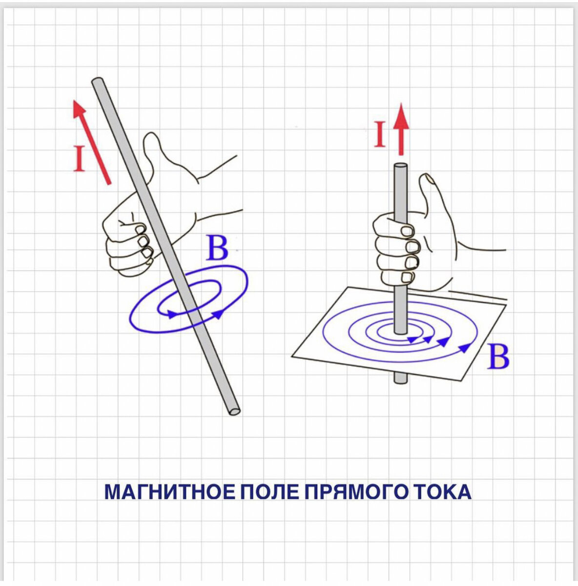 Магнитное поле. Что нужно знать для решения задач ЕГЭ? | Физика ЕГЭ  Киселева | Дзен