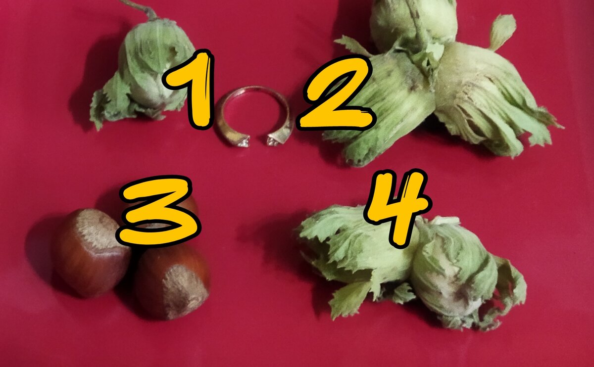 Выбирайте 1,2,3,4