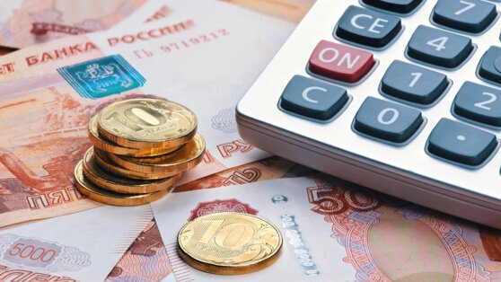    Дефицит бюджета России в январе составил 1,76 триллиона рублей Анна Оленькова