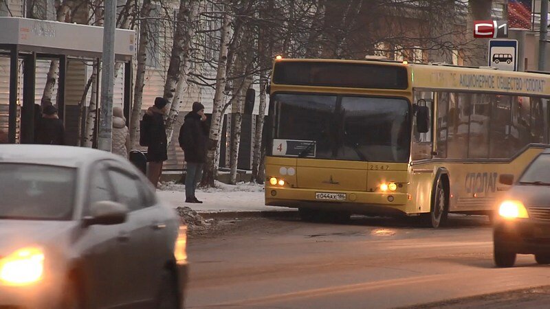    Система получения транспортных льгот в Сургуте будет меняться