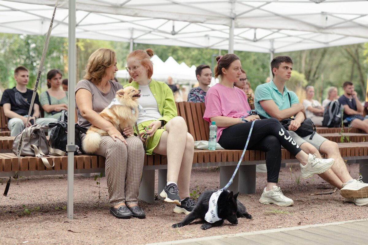 Фото- собственность канала