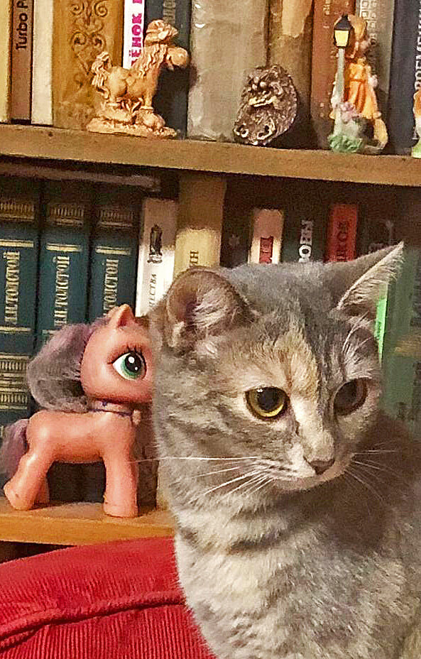 Здравствуйте, дорогие мои! Всех обнял...!