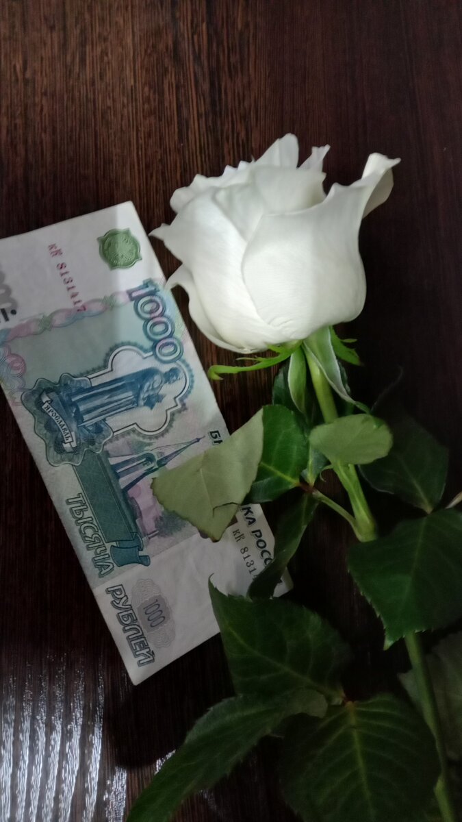 Где взять денег?