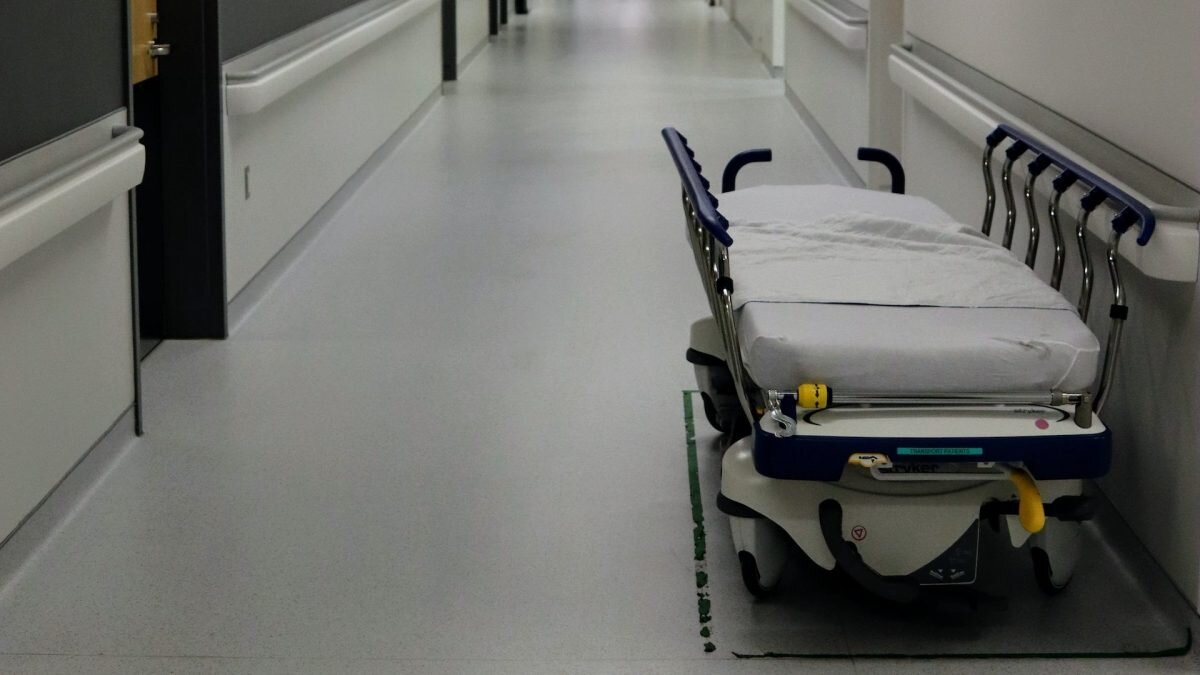    Фото: unsplash.com. Анатолий Пак