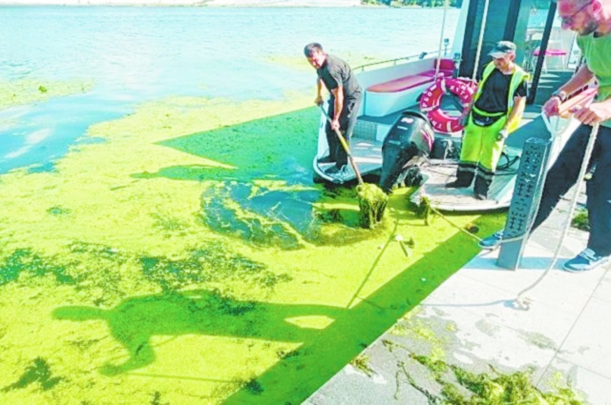    Пензенцы заметили, что Суру очищают при помощи лопат.