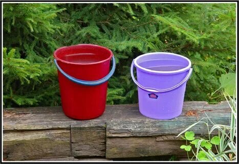 фото из интернета.