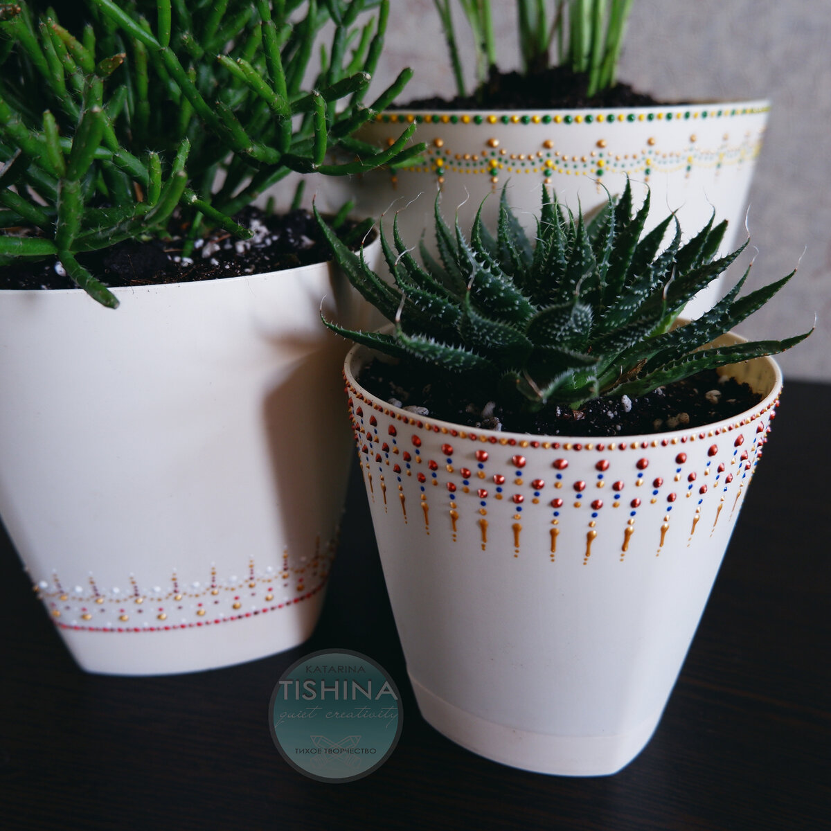 Хавортия аристата и рипсалис в пластиковых горшках с точечной росписью. 