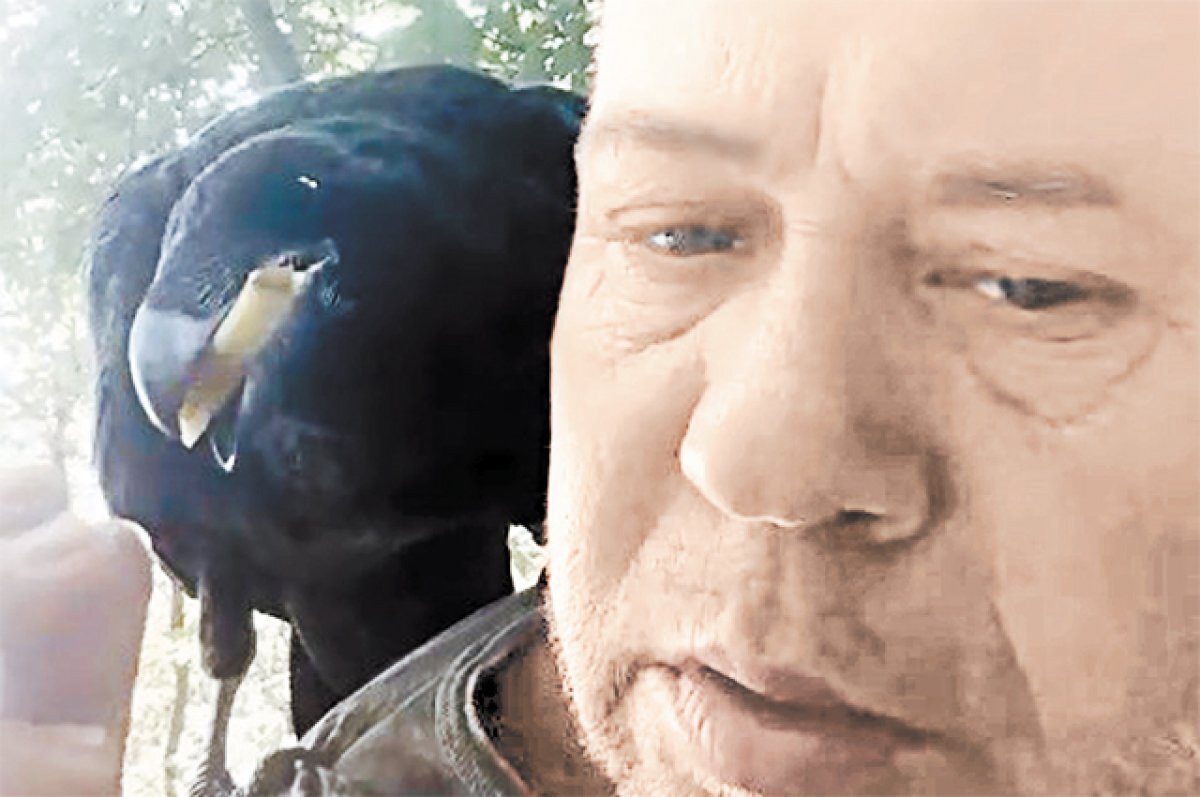    «Муха» и Маврик.