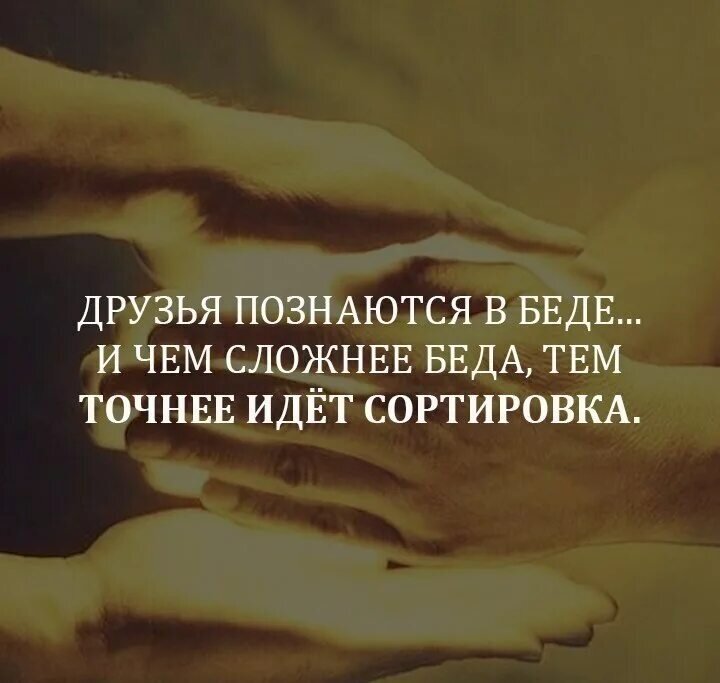 источник Яндекс-картинки