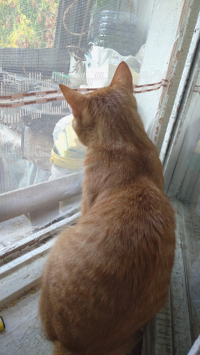 Личное  фото.